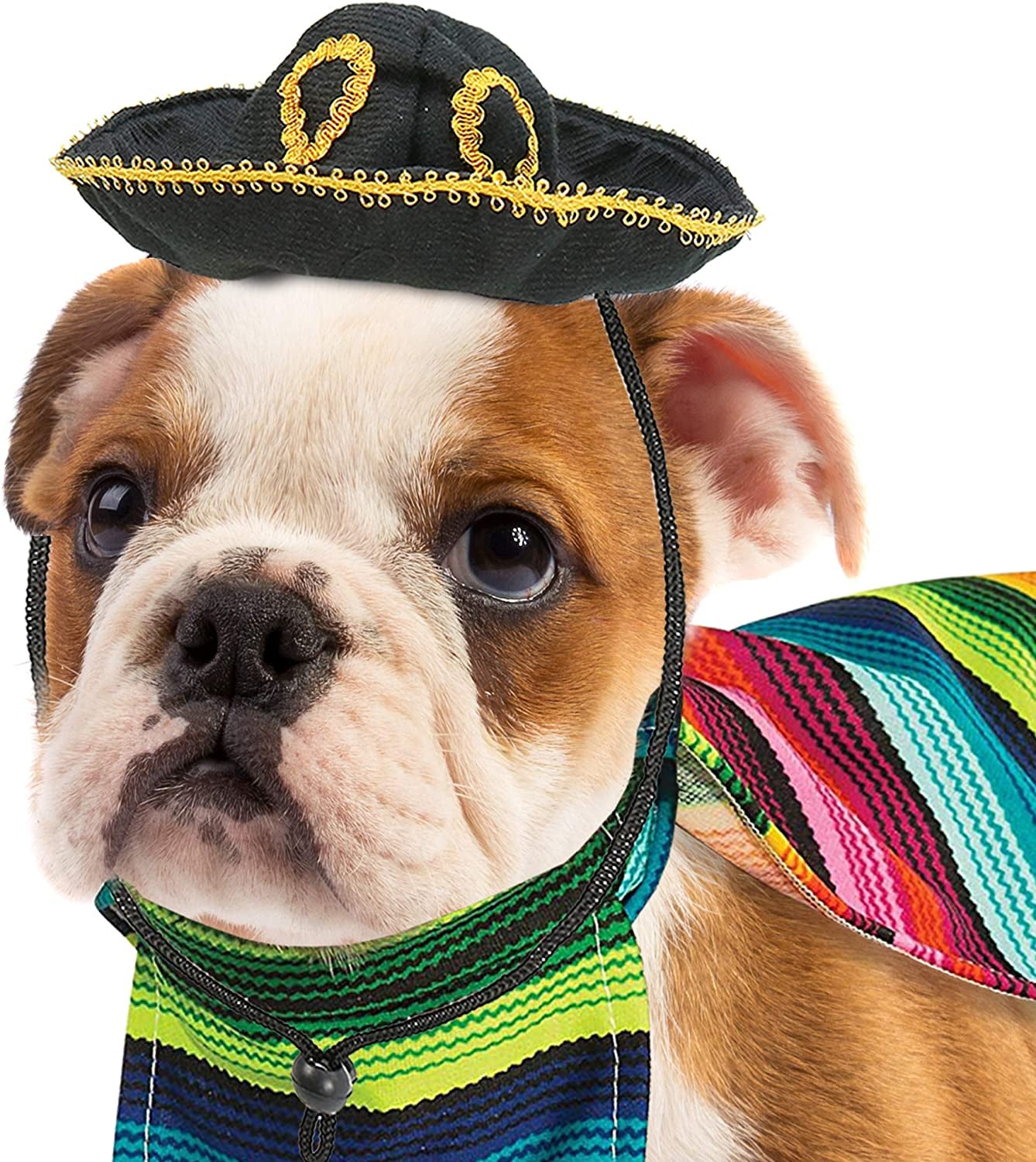 Mexican Serape Dog Costume - Cinco De Mayo Poncho and Sombrero Costumes for Pets (Size L)