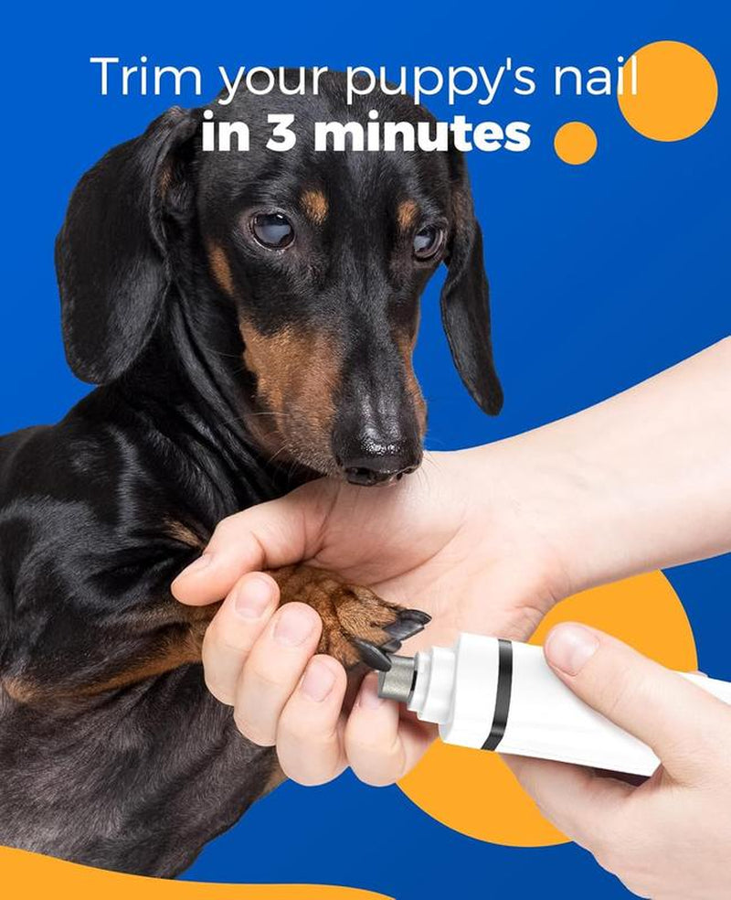 4-in-1 Dog Grooming Kit – Cordless Clippers, Paw Trimmer & Nail Grinder with 2 Speeds, Low Noise, Rechargeable for Dogs