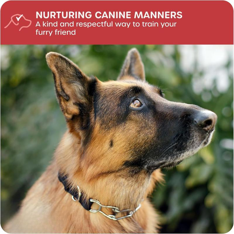 Nylon Prong Collar for Dogs, Medium - Adjustable, No-Choke and No Pull Dog Collar with Removable Links