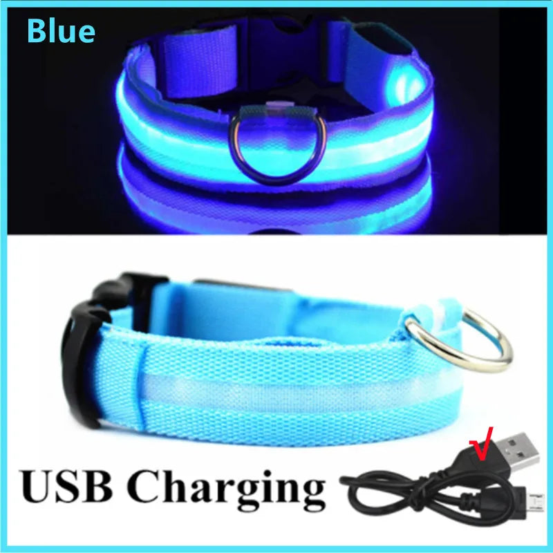 Light-Up LED Dog Collar – Night Glow, Anti-Lost & Rechargeable for Small Dogs