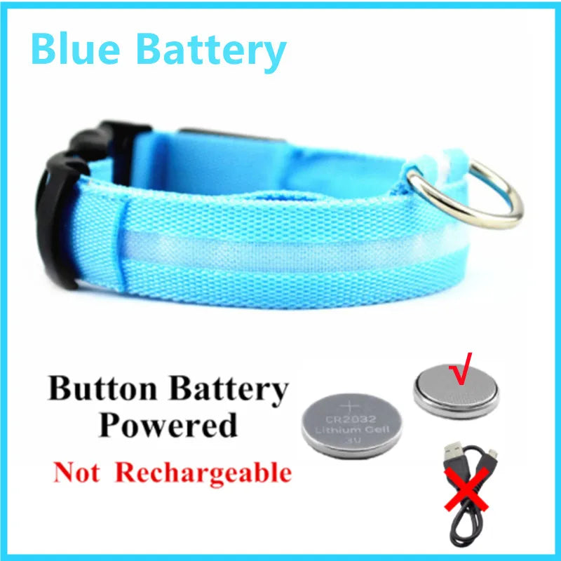 Light-Up LED Dog Collar – Night Glow, Anti-Lost & Rechargeable for Small Dogs