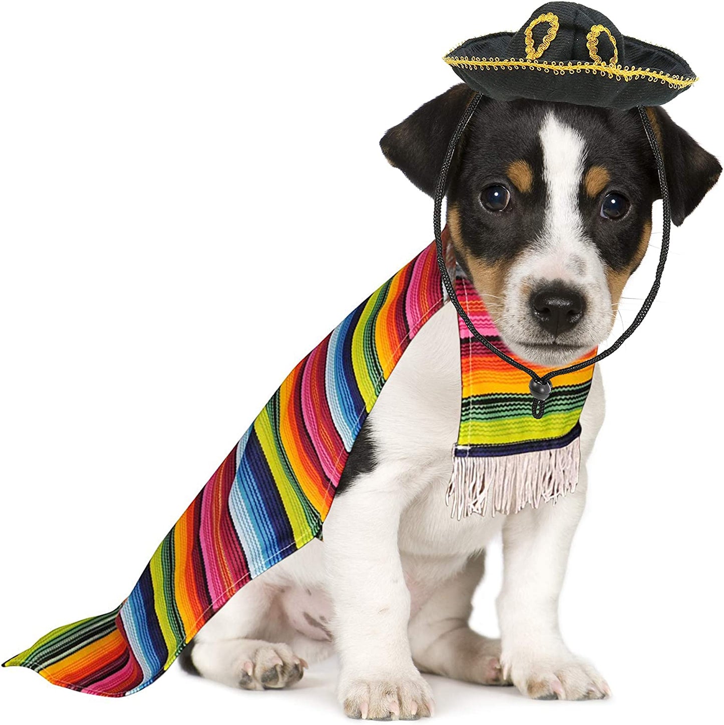 Mexican Serape Dog Costume - Cinco De Mayo Poncho and Sombrero Costumes for Pets (Size L)
