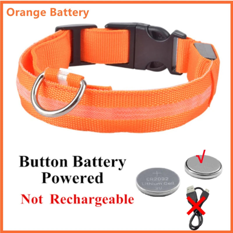 Light-Up LED Dog Collar – Night Glow, Anti-Lost & Rechargeable for Small Dogs
