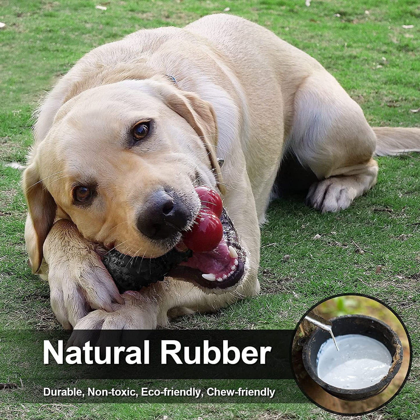 Dog Toys for Aggressive Chewers Bone Dog Toy Interactive Dog