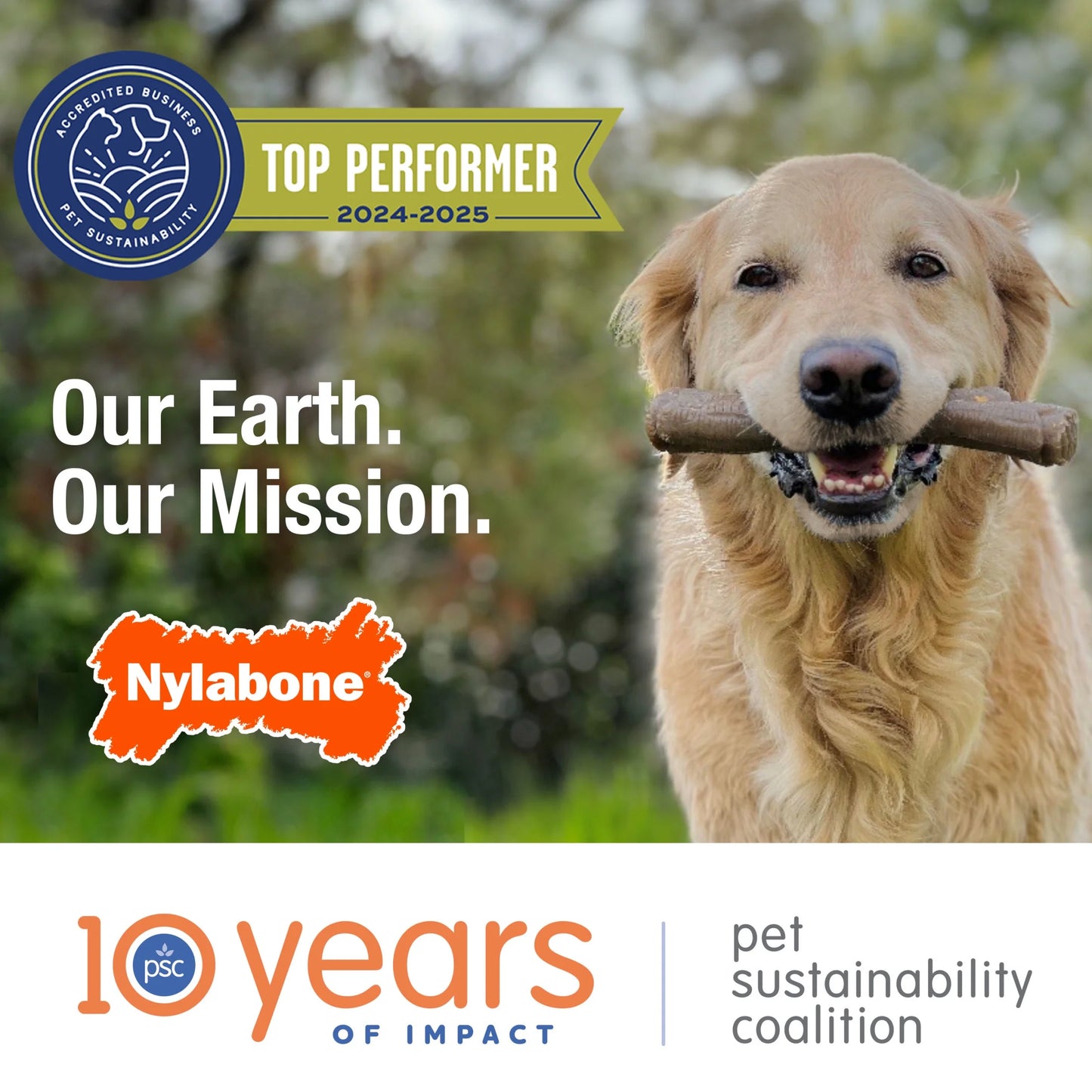 Strong Chew Marshmallow Stick Dog Chew Toy Marshmallow & Peanut Butter Large (1 Count)