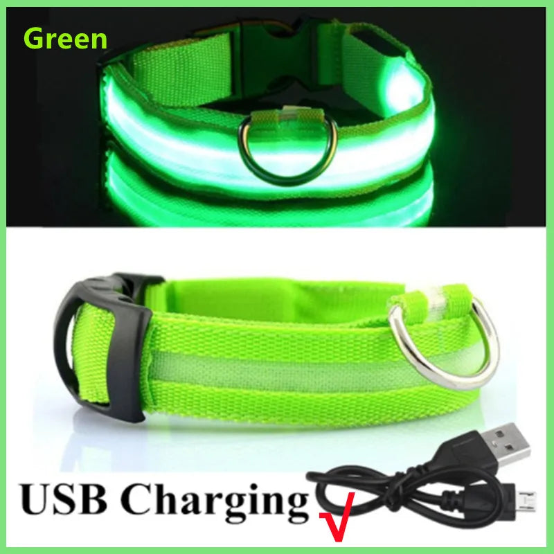 Light-Up LED Dog Collar – Night Glow, Anti-Lost & Rechargeable for Small Dogs