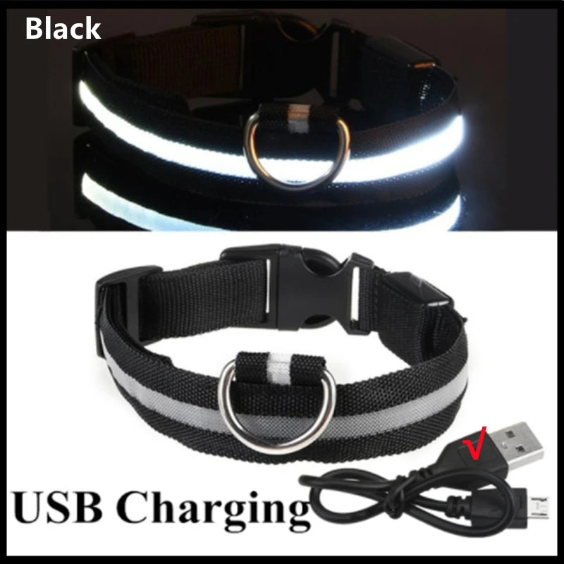Light-Up LED Dog Collar – Night Glow, Anti-Lost & Rechargeable for Small Dogs