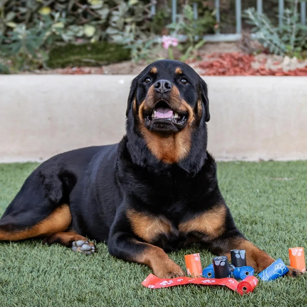 Best Pet Supplies Dog Poop Bags (150 Bags) for Waste Refuse Cleanup, Doggy Roll Replacements for Outdoor Puppy