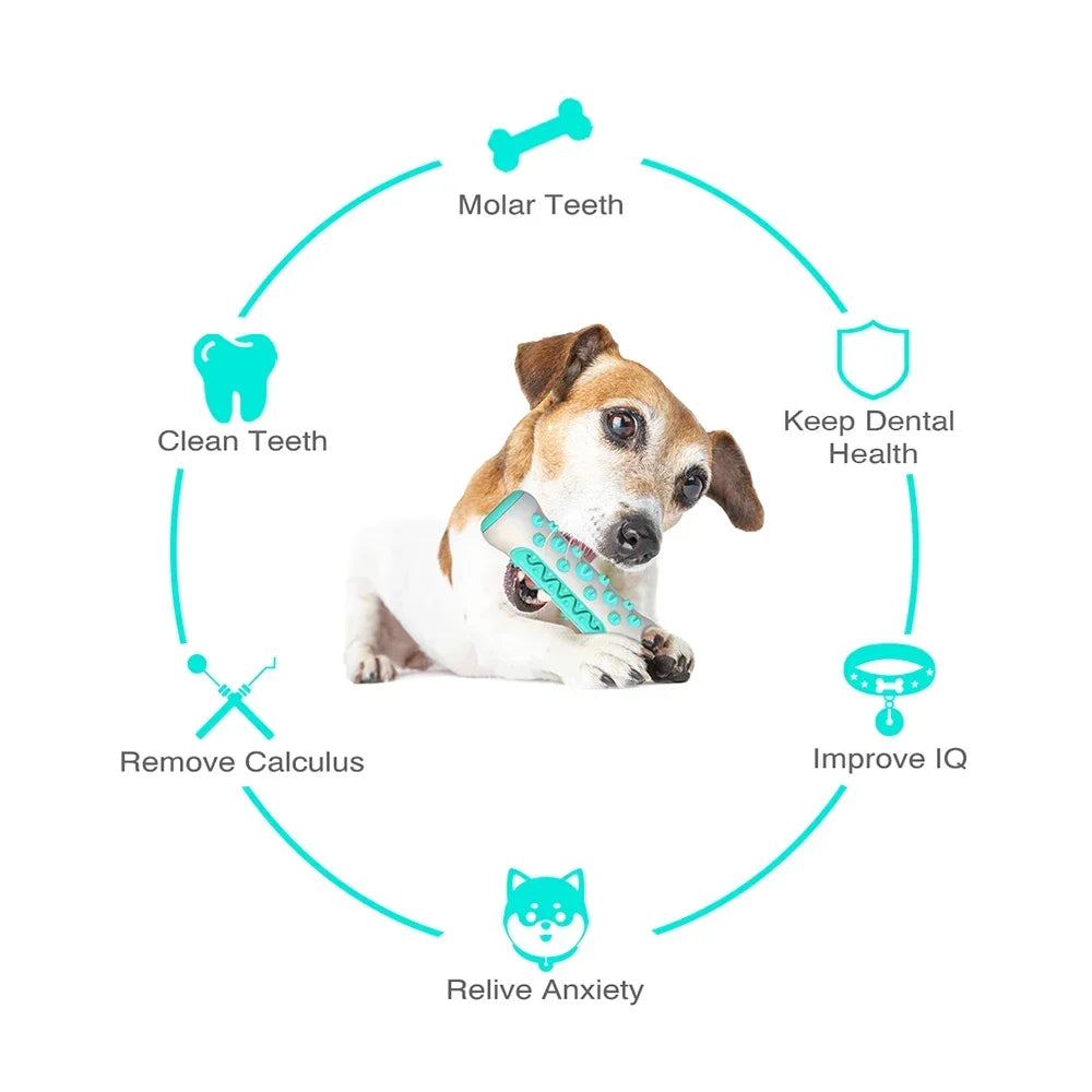 Dog Teething Bones Rod Toothbrush Stick Molar Toys Dog Chew Supplies Pet Teeth Cleaning Training Interactive Toy