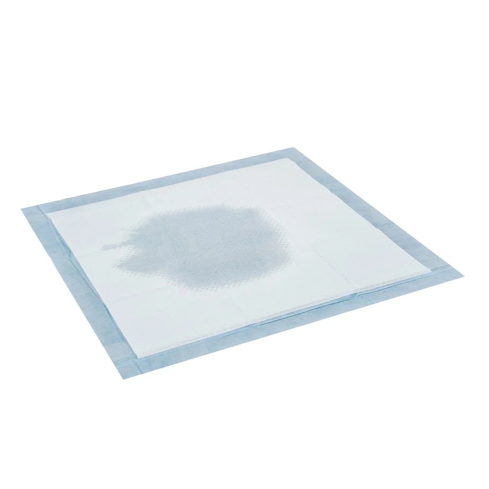 Extra Large Puppy Training Pads 23X36 Inch 300 Count Heavy Absorbency Disposable Pet Potty Pads Dogs Cats Odor Control