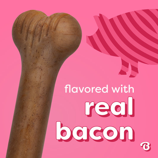 Essentials Bone Bacon M/L