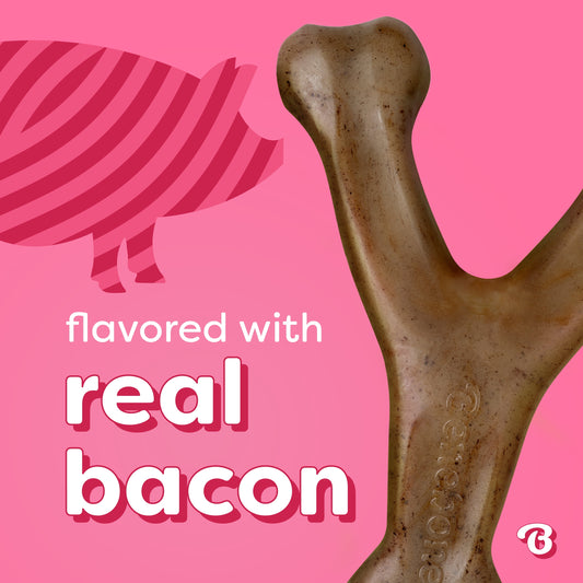 Essentials Wishbone Bacon M/L