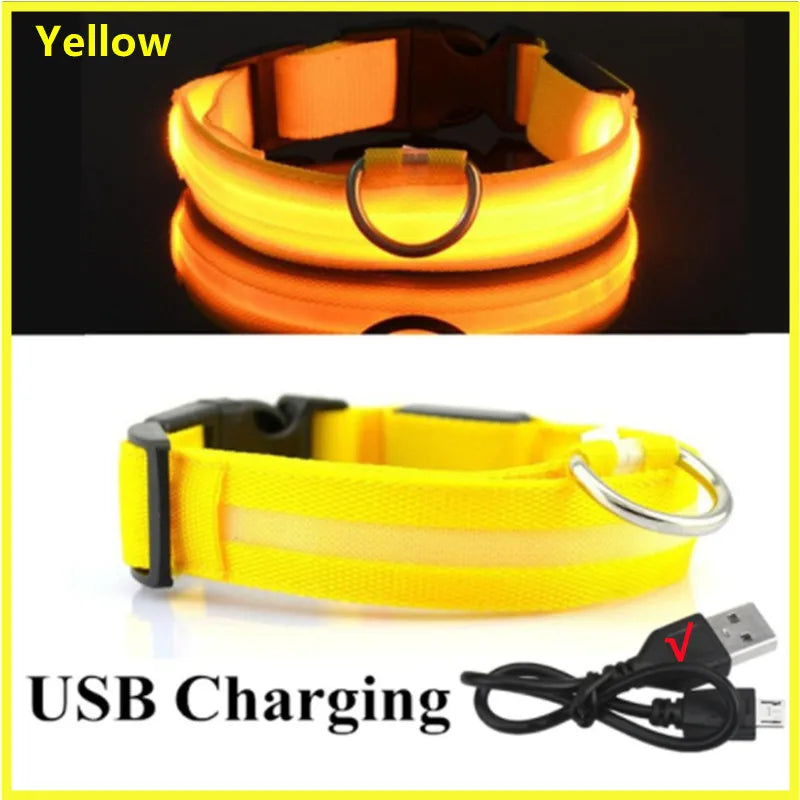 Light-Up LED Dog Collar – Night Glow, Anti-Lost & Rechargeable for Small Dogs