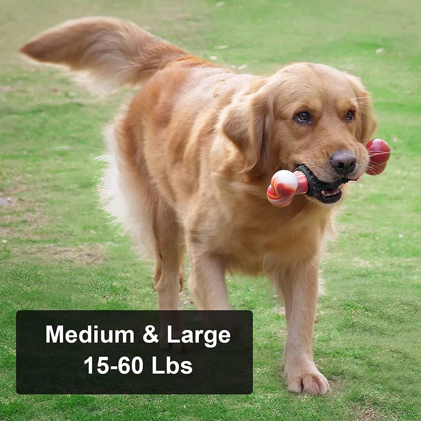 Dog Toys for Aggressive Chewers Bone Dog Toy Interactive Dog