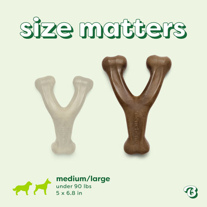 Essentials Wishbone Bacon M/L