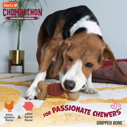 Chompathon Gripper Bone, Nylon, Tough Dog Chew Toy
