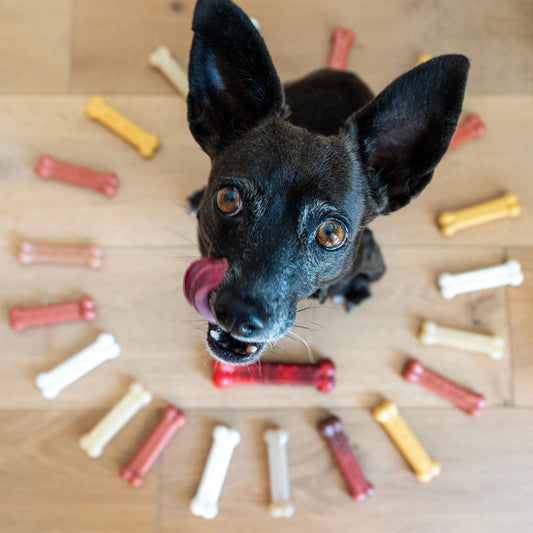 Flavor Frenzy Power Chew Dry Dog Toy, Chili Cheese Dog, Popcorn & Cherry, SM, 3Pk