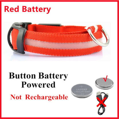 Light-Up LED Dog Collar – Night Glow, Anti-Lost & Rechargeable for Small Dogs