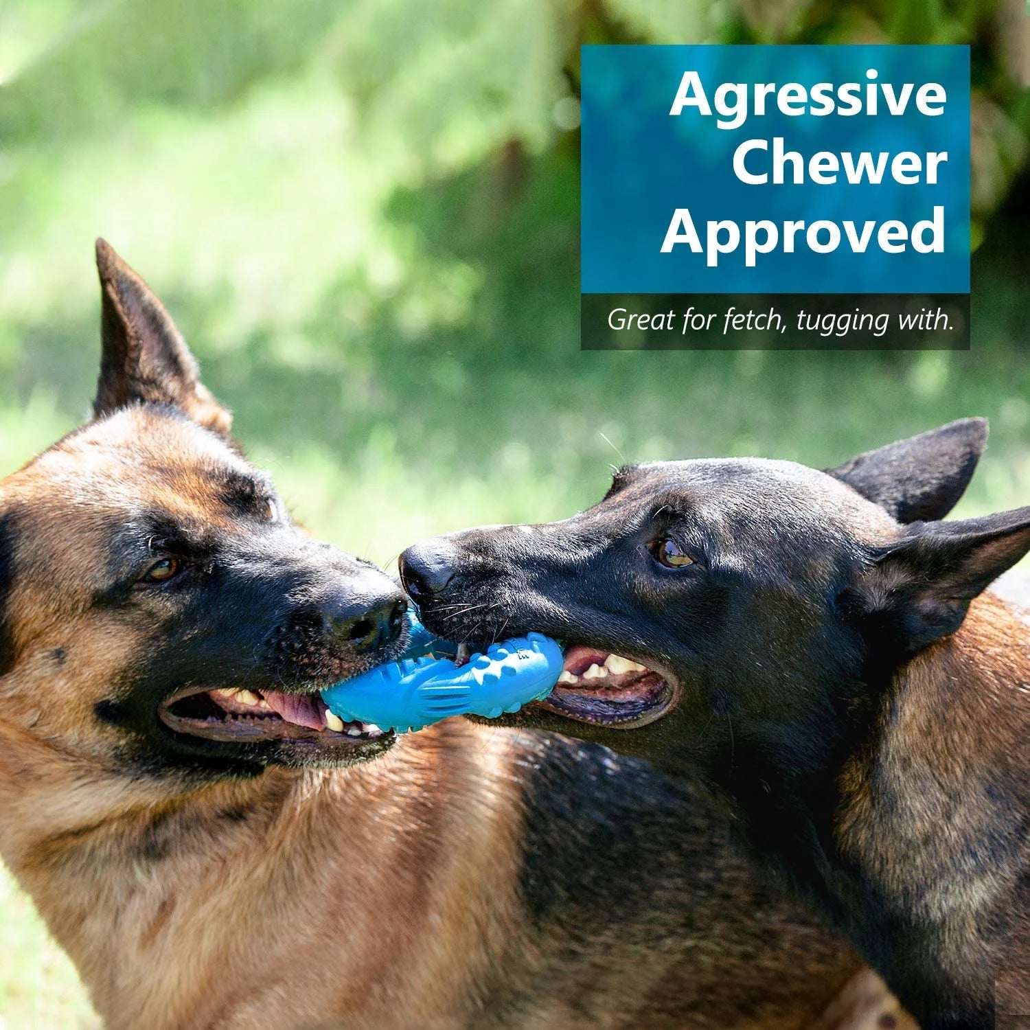 Dog Toys for Aggressive Chewers Dog Toy Interactive Dog Toys for Large Dog Chew Toys for Aggressive Chewers,Dinosam Indestructible Dog Toy for Medium Large Dogs, Blue