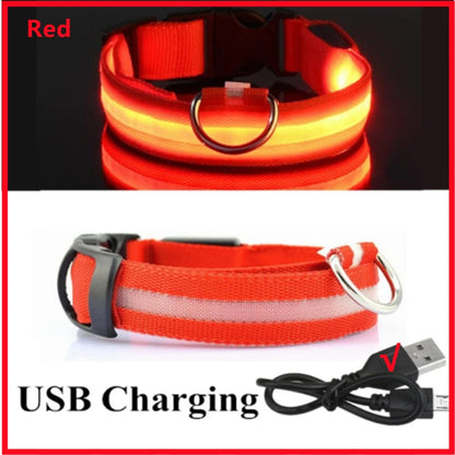 Light-Up LED Dog Collar – Night Glow, Anti-Lost & Rechargeable for Small Dogs