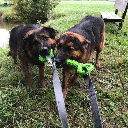 Dog Toys for Aggressive Chewer, Dura Play Chewable