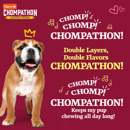 Chompathon Gripper Bone, Nylon, Tough Dog Chew Toy