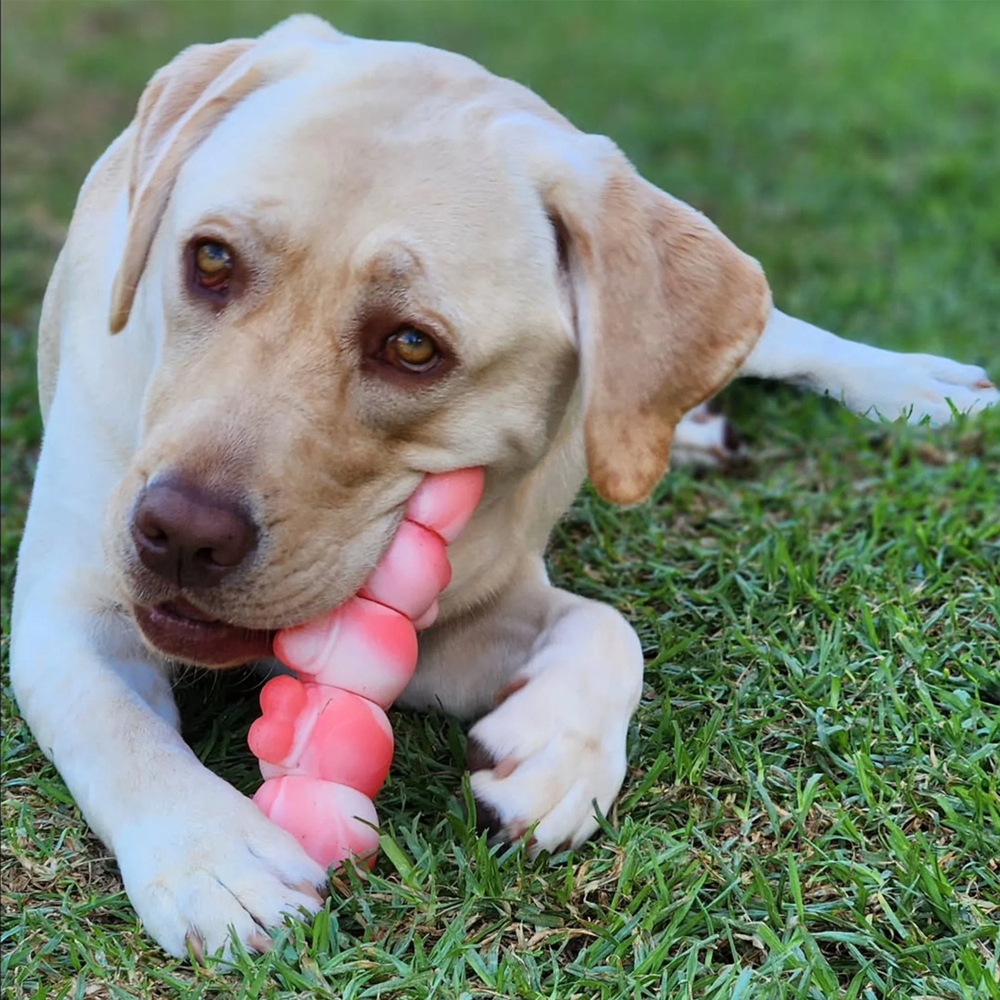 Dogs Chew Toys for Aggressive Chewers, Long Lasting Dog Toys, Indestructible Dog Toys, Tough Dog Toys, for Large/Medium Dogs Chew