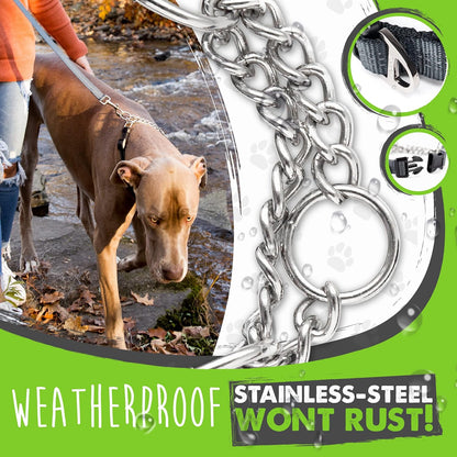 Trainer Approved Limited Slip Collar with Stainless Steel Chain & Heavy-Duty Buckle 