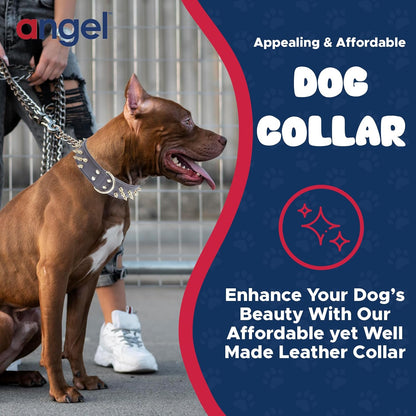 Spiked Dog Collar, Genuine Leather Dog Collar for Large Dogs to Extra Large Dogs