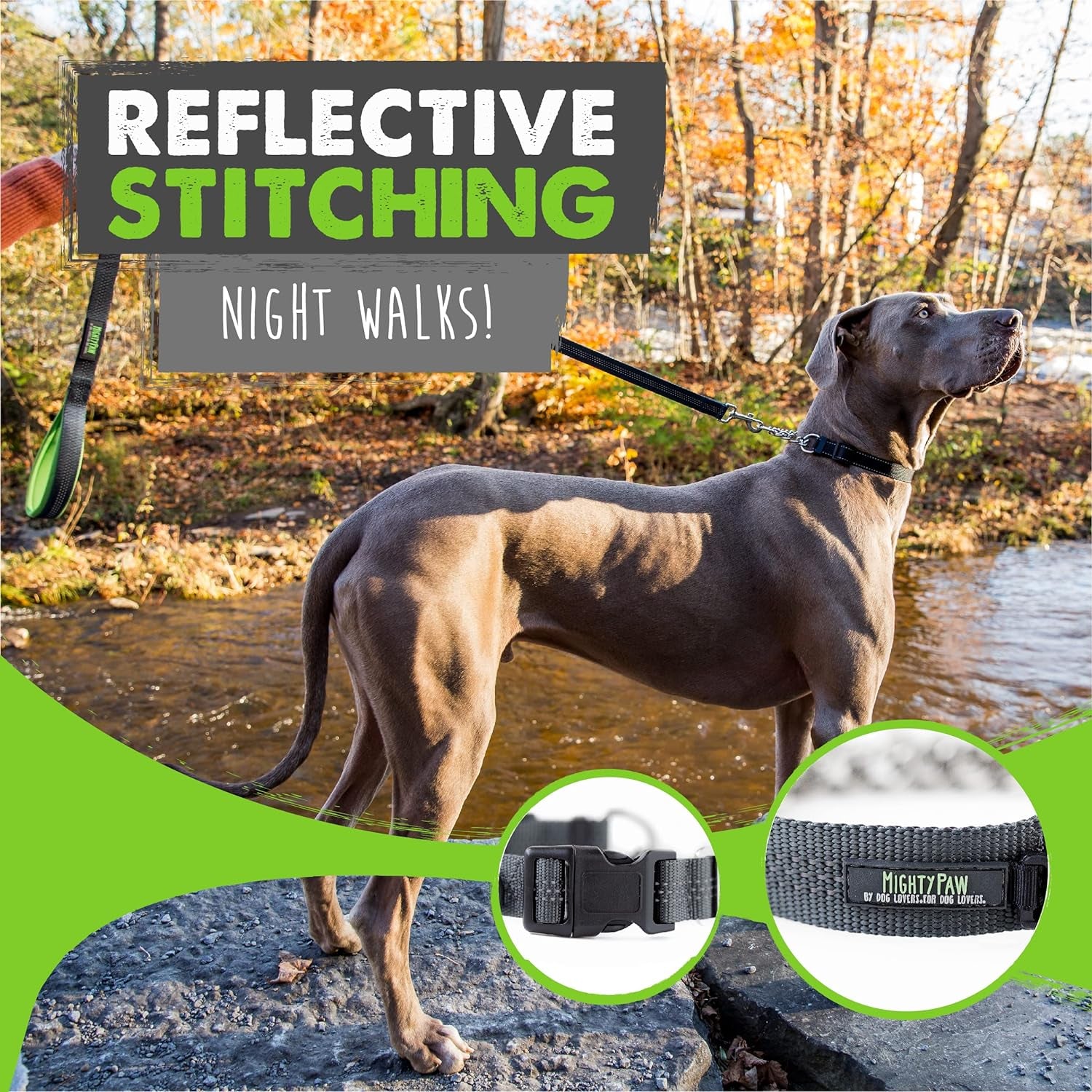 Trainer Approved Limited Slip Collar with Stainless Steel Chain & Heavy-Duty Buckle 