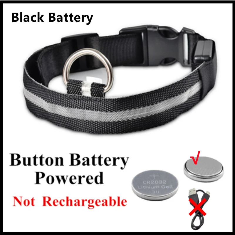 Light-Up LED Dog Collar – Night Glow, Anti-Lost & Rechargeable for Small Dogs