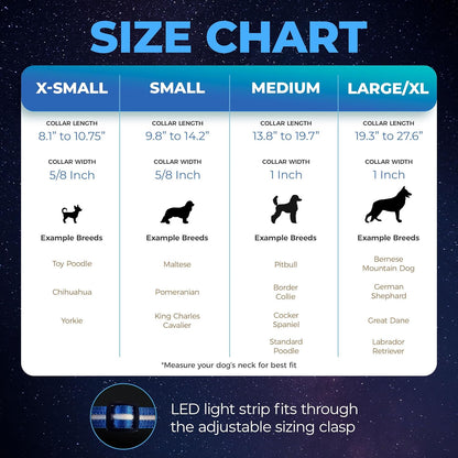 Light up Dog Collar - the Original LED Dog Collar - USB Rechargeable - Waterproof
