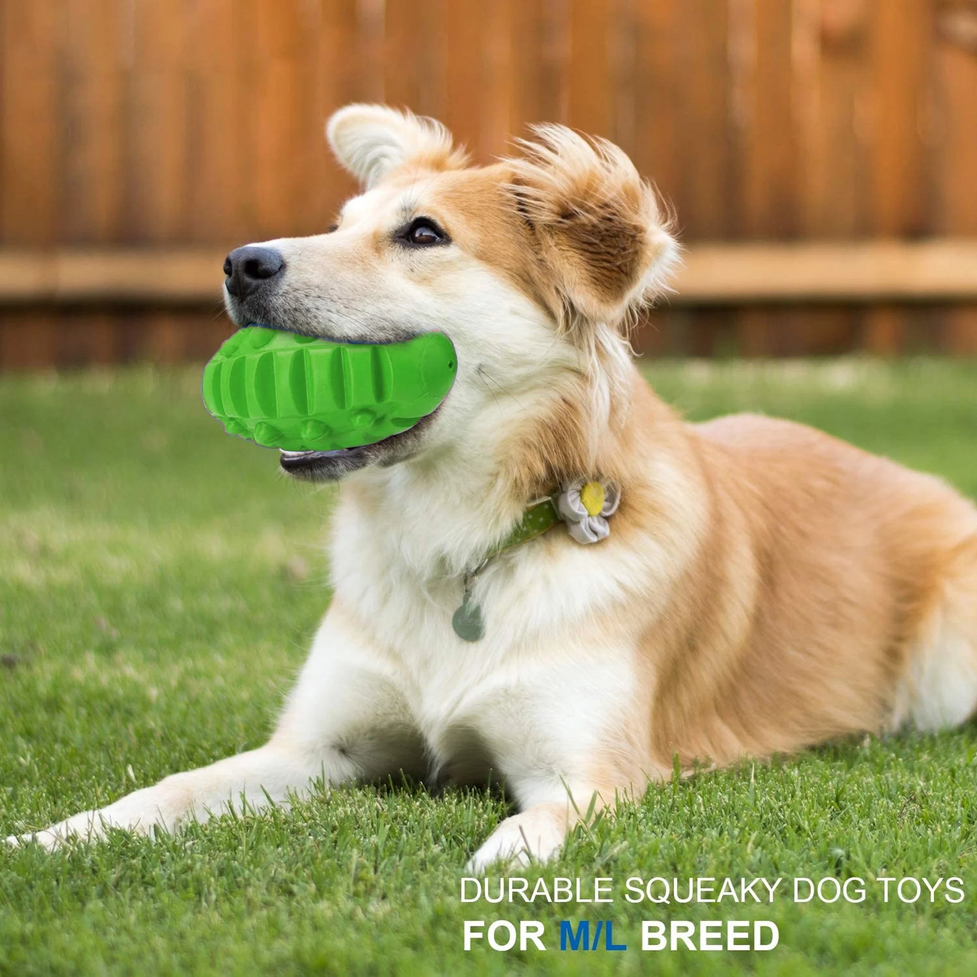 Squeaky Dog Ball Toys for Aggressive Chewers Indestructible Durable Tough Big Dogs Chew Toys Floatable Rubber Interactive Pet Toys for Medium &Large Breeds Dog