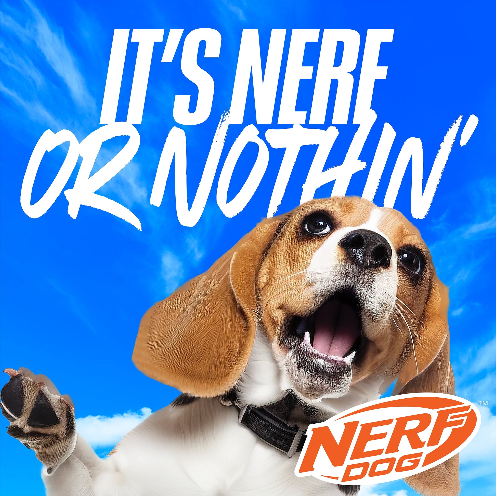 X-Weave Squeak Soccer Ball for Large Dogs