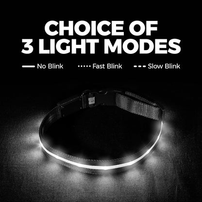 Light up Dog Collar - the Original LED Dog Collar - USB Rechargeable - Waterproof