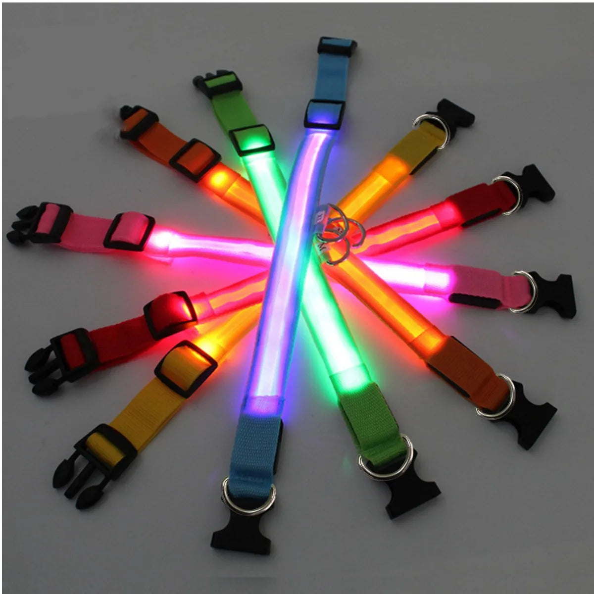 Light-Up LED Dog Collar – Night Glow, Anti-Lost & Rechargeable for Small Dogs