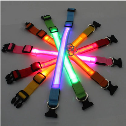 Light-Up LED Dog Collar – Night Glow, Anti-Lost & Rechargeable for Small Dogs
