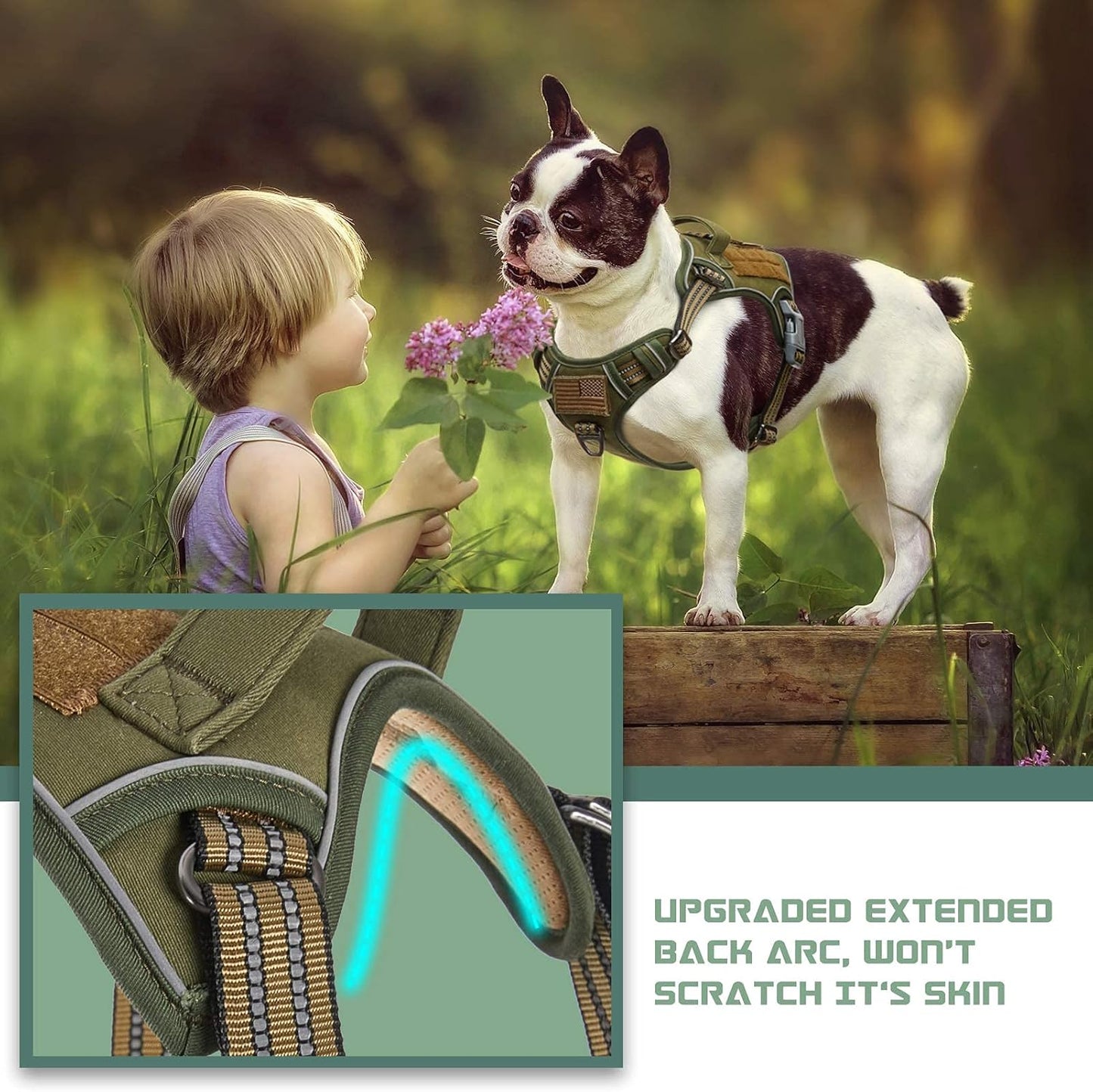Tactical Dog Harness for Medium Dogs No Pull