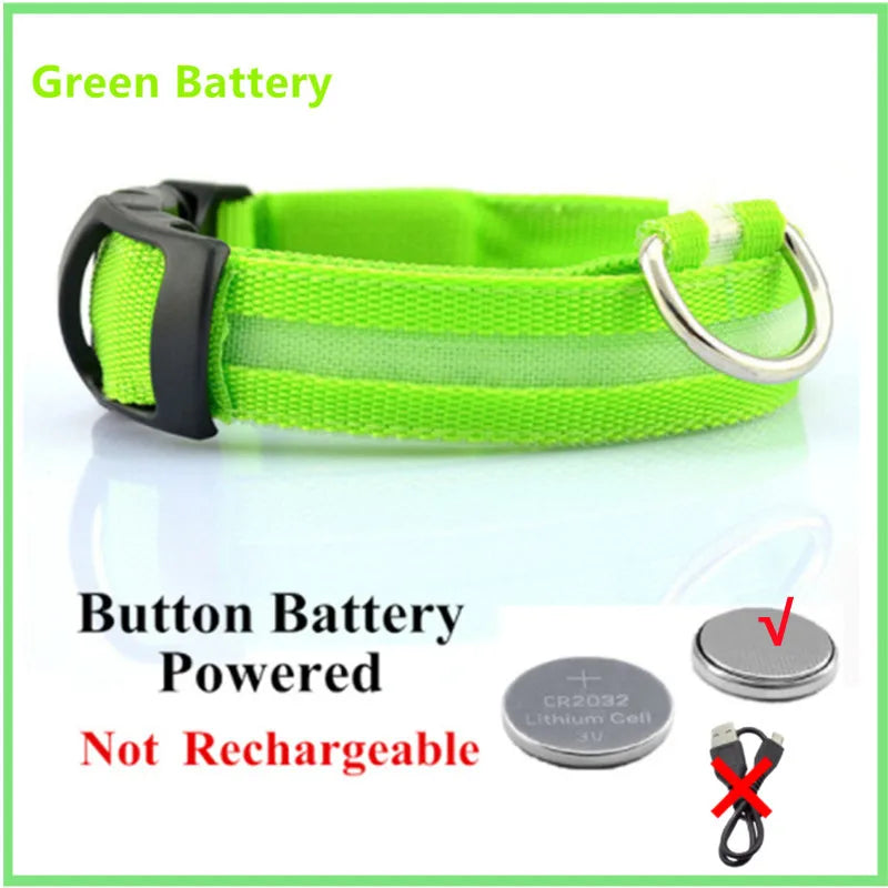 Light-Up LED Dog Collar – Night Glow, Anti-Lost & Rechargeable for Small Dogs