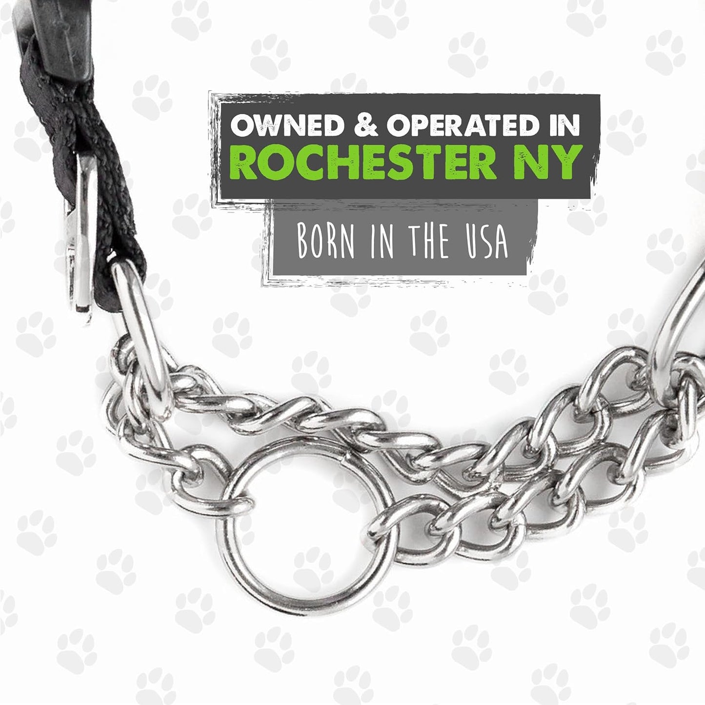 Trainer Approved Limited Slip Collar with Stainless Steel Chain & Heavy-Duty Buckle 