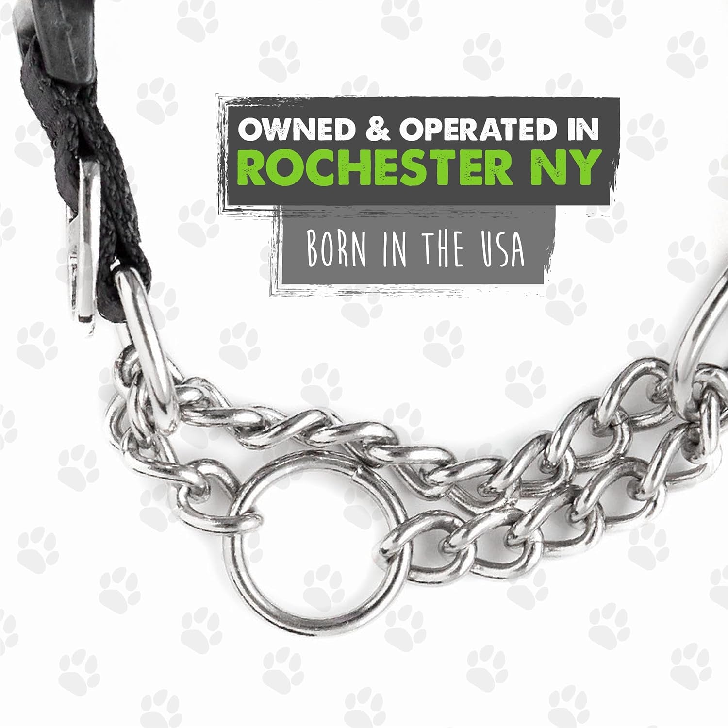 Trainer Approved Limited Slip Collar with Stainless Steel Chain & Heavy-Duty Buckle 
