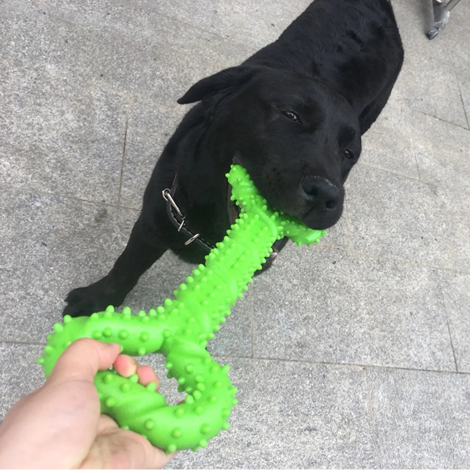 Dog Toys for Aggressive Chewer, Dura Play Chewable