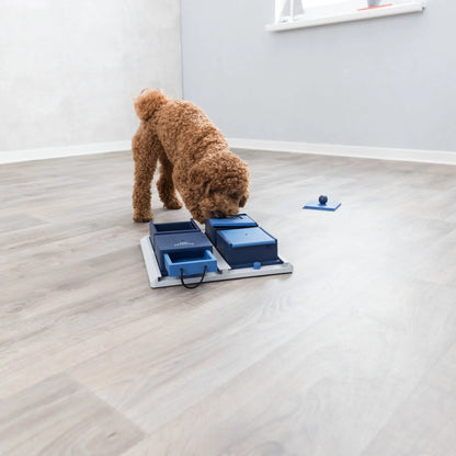 Dog Activity Poker Box 1 Strategy Game, Level 2 Dog Puzzle Toy, Treat Dispenser