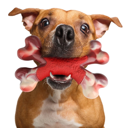 Dog Toy for Aggressive Chewer- for Large Medium Dogs, Food Bone Toy for Dogs, Teething ,Beef Flavored Dog Chew Toys