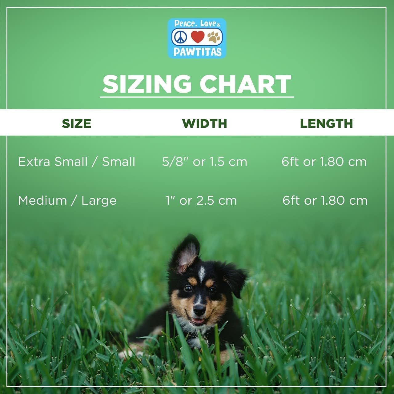  Reflective Dog Leash for the puppy puppies and the little dogs breeds