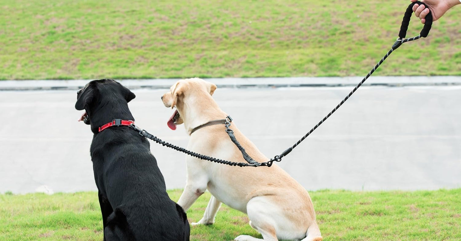 Shock Absorbing Bungee for Two Dogs (Large, 25-150 Lbs, Black)