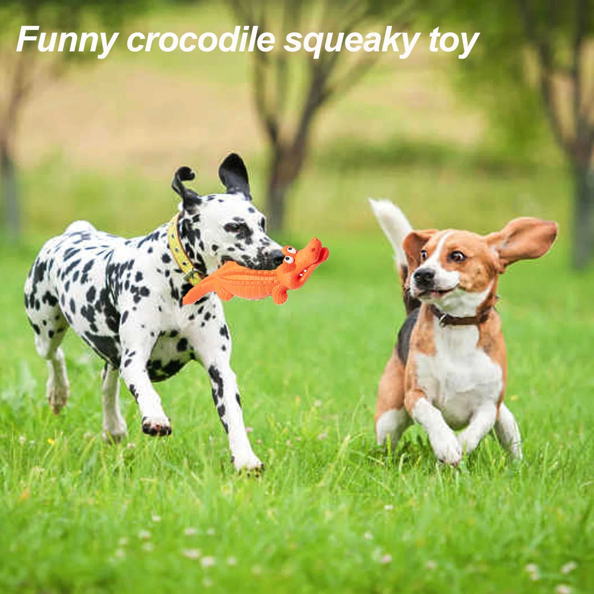 Squeaky Dog Toys for Aggressive Chewers, Durable Dog Toys Natural Rubber, Interactive Tough Dog Chew Crocodile Toy Teeth Cleaning for Medium Large Dogs