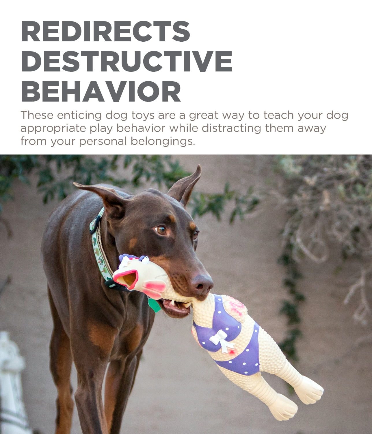 Squawkers Henrietta Latex Rubber Chicken Interactive Dog Toy, Large