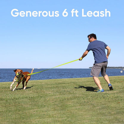  Reflective Dog Leash for the puppy puppies and the little dogs breeds