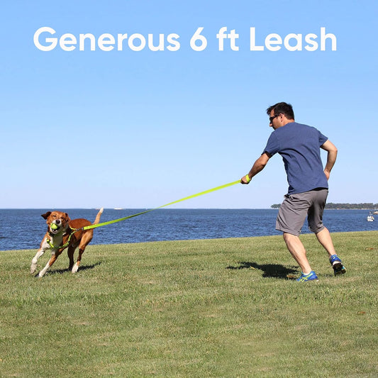  Reflective Dog Leash for the puppy puppies and the little dogs breeds
